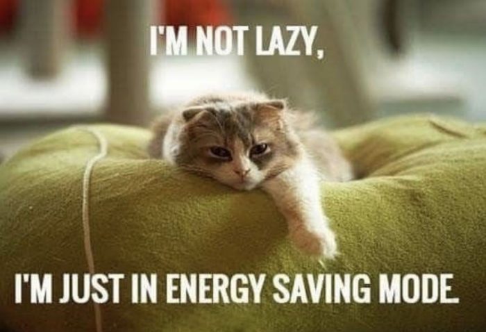 I am not lazy I am just in energy saving mode